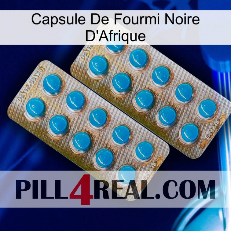 Africa Black Ant Capsule new08